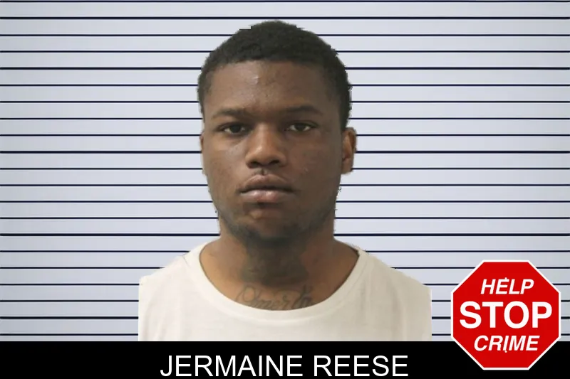 Jermaine Reese mugshot