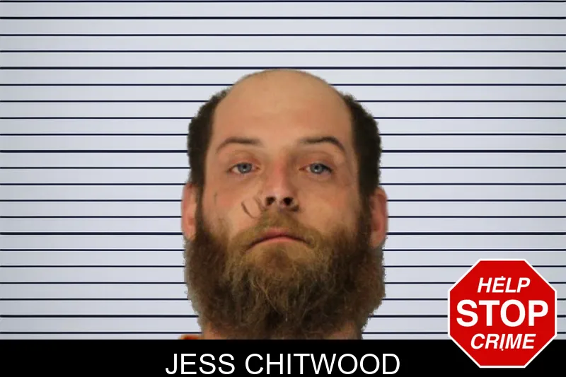 Jess Chitwood mugshot