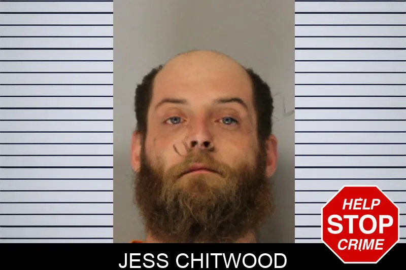 Jess Chitwood mugshot – Hall County , Georgia Jess Chitwood mugshot
