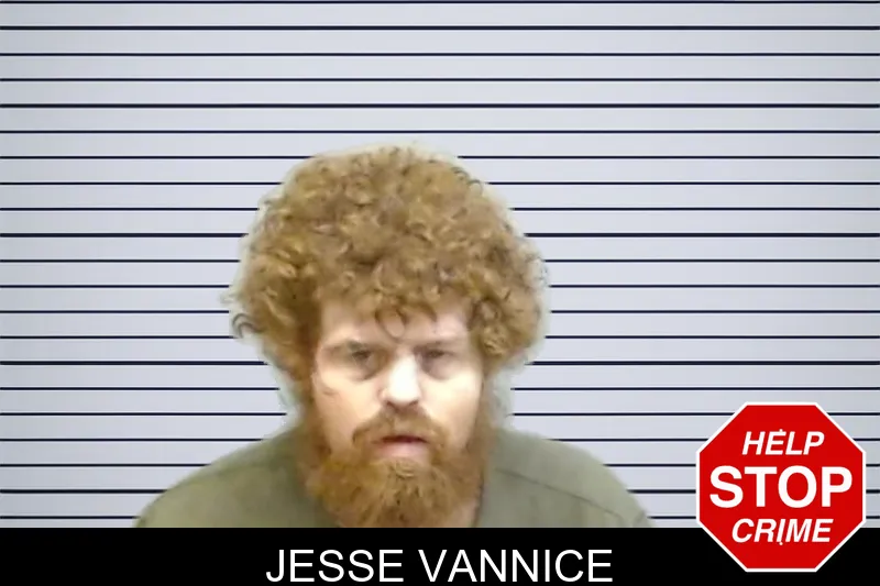 Jesse Vannice mugshot
