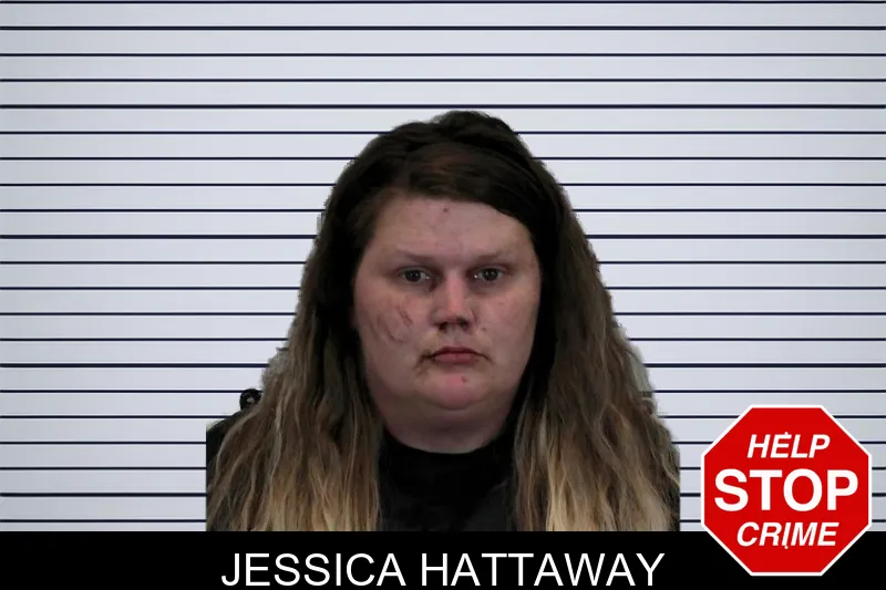 Jessica Hattaway mugshot