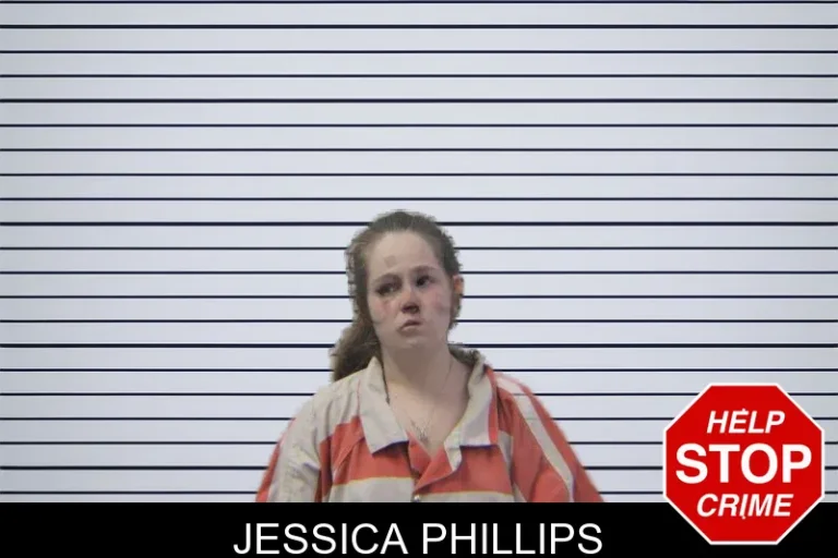 Jessica Phillips mugshot – Stephens County , Georgia Jessica Phillips