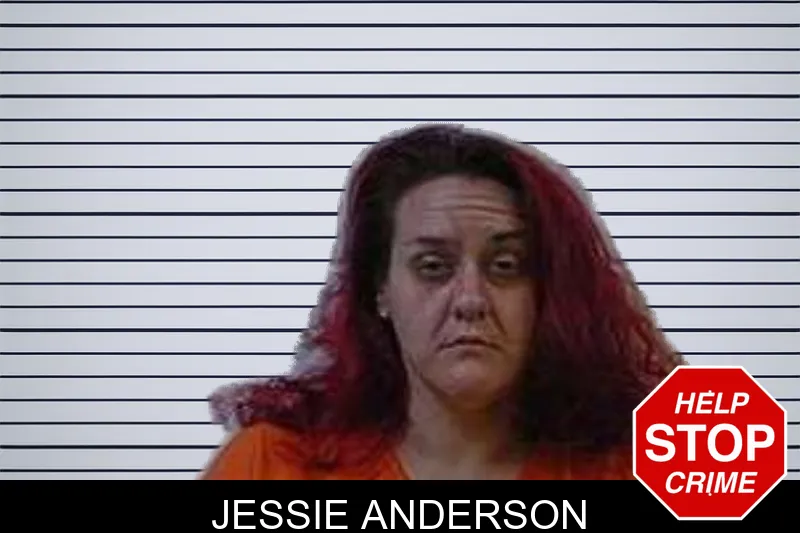 Jessie Anderson mugshot