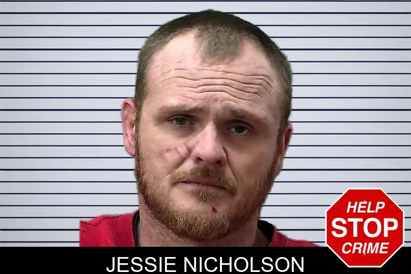 Jessie Nicholson mugshot