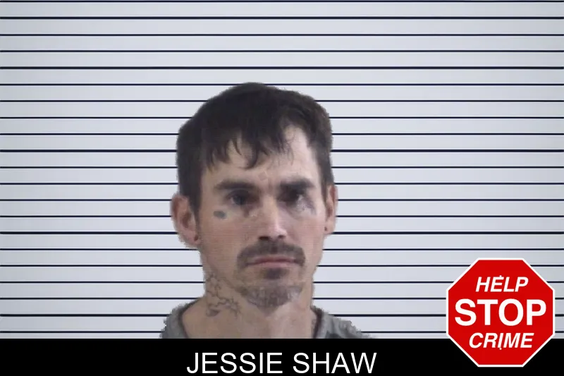 Jessie Shaw mugshot