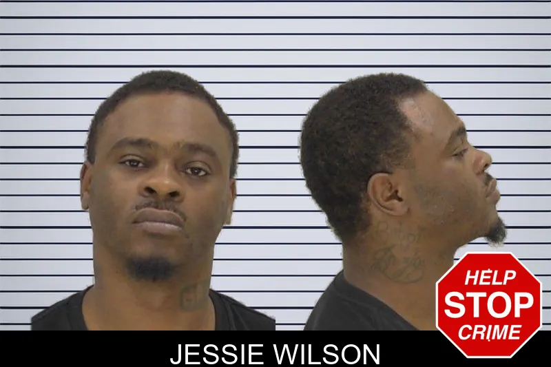 Jessie Wilson mugshot