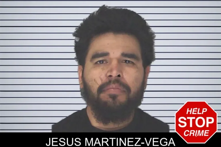 Jesus Martinez-Vega