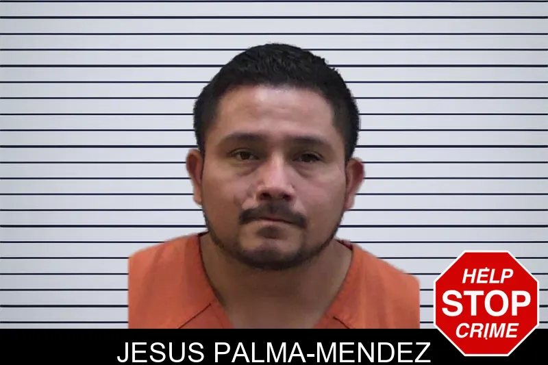 Jesus Palma-Mendez mugshot