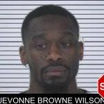 Jevonne Browne Wilson mugshot – Fayette County , Georgia Jevonne Browne Wilson mugshot