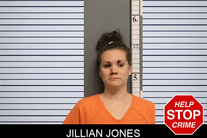 Jillian Jones mugshot – Lumpkin County , Georgia Jillian Jones mugshot