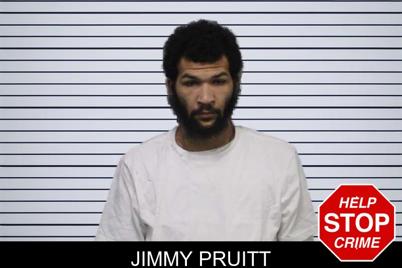 Jimmy Pruitt mugshot – White County , Georgia Jimmy Pruitt mugshot