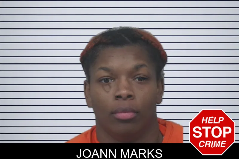 Joann Marks mugshot