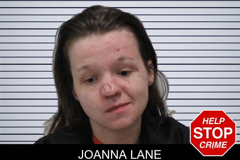 Joanna Lane mugshot