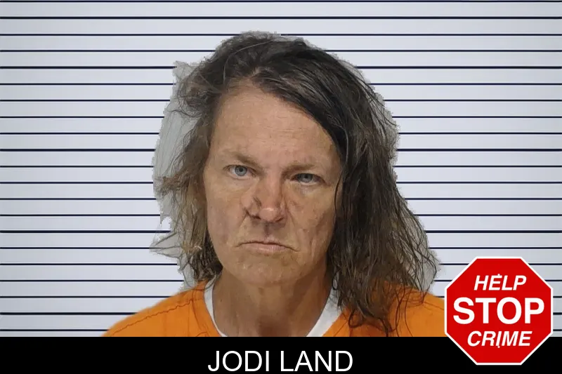 Jodi Land mugshot – Bibb County , Georgia Jodi Land mugshot