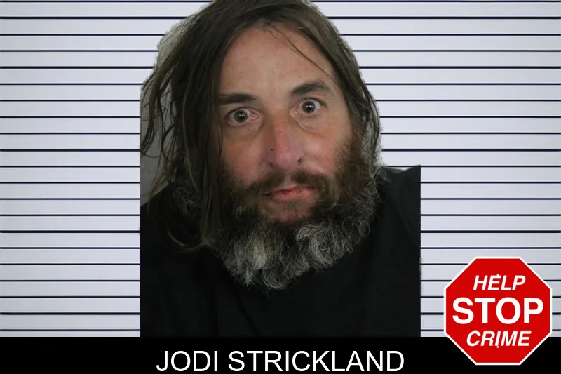 Jodi Strickland mugshot