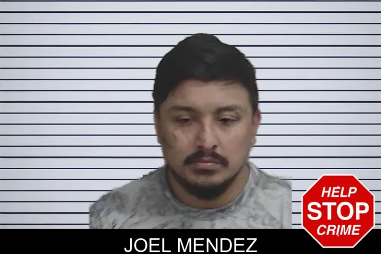Joel Mendez mugshot – Wayne County , Georgia Joel Mendez