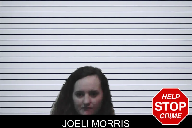 Joeli Morris mugshot – Meriwether County , Georgia Joeli Morris mugshot