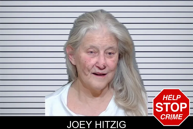 Joey Hitzig mugshot – Glynn County , Georgia Joey Hitzig mugshot