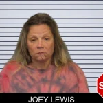 Joey Lewis mugshot