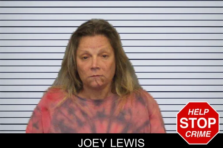 Joey Lewis mugshot – White County , Georgia Joey Lewis