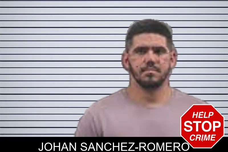Johan Sanchez-Romero mugshot