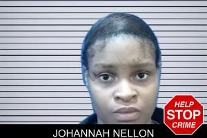 Johannah Nellon mugshot