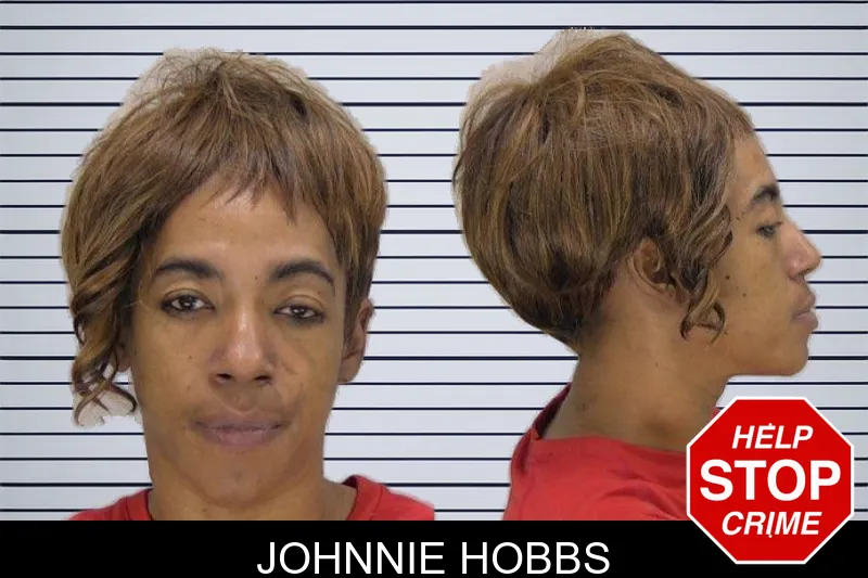 Johnnie Hobbs mugshot