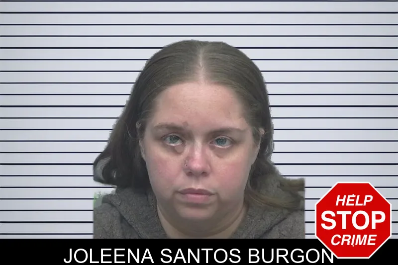 Joleena Santos Burgon mugshot – Gwinnett County , Georgia Joleena Santos Burgon mugshot