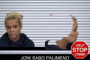 Joni Sabo Palimeno mugshot