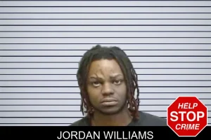 Jordan Williams mugshot