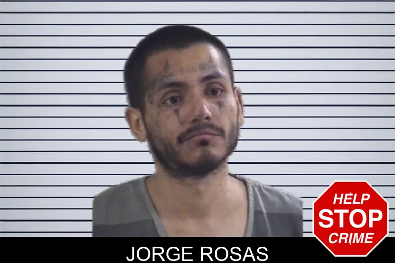 Jorge Rosas mugshot