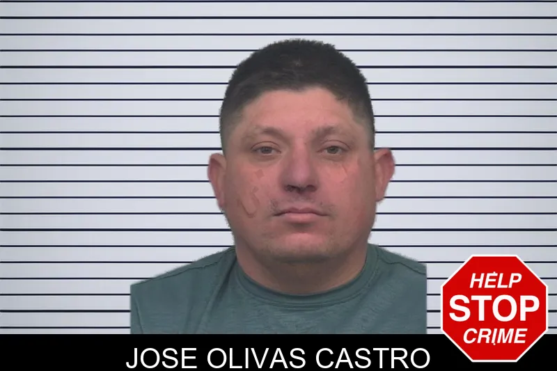 Jose Olivas Castro mugshot