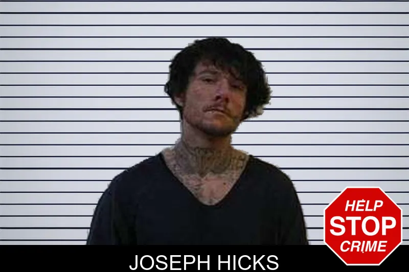 Joseph Hicks mugshot