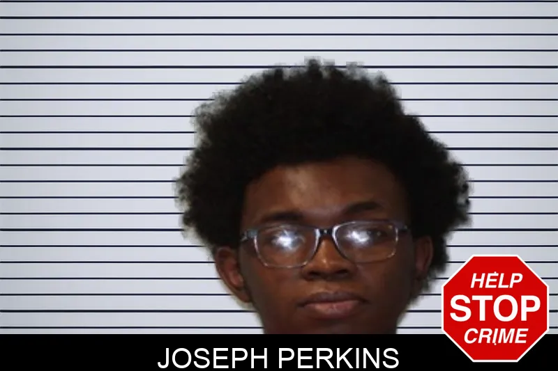 Joseph Perkins mugshot – Seminole County , Georgia Joseph Perkins mugshot