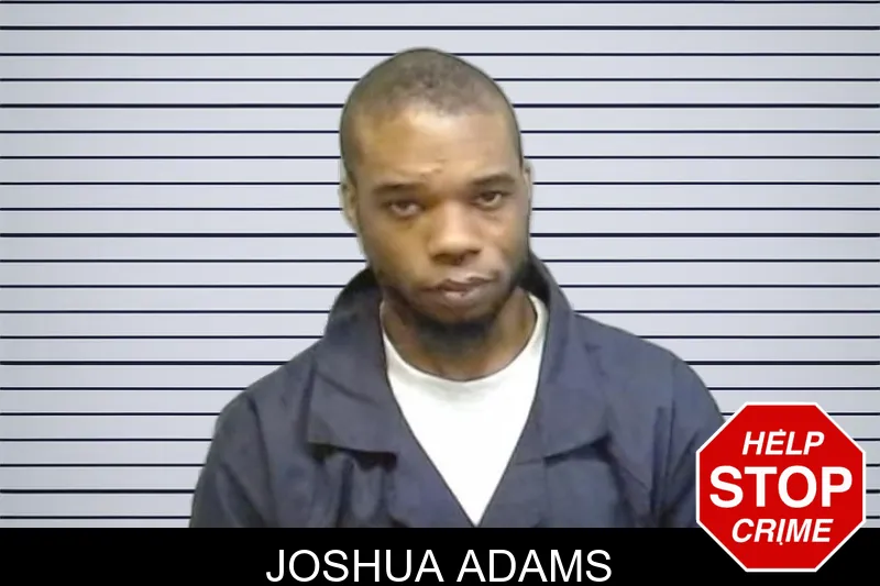 Joshua Adams mugshot