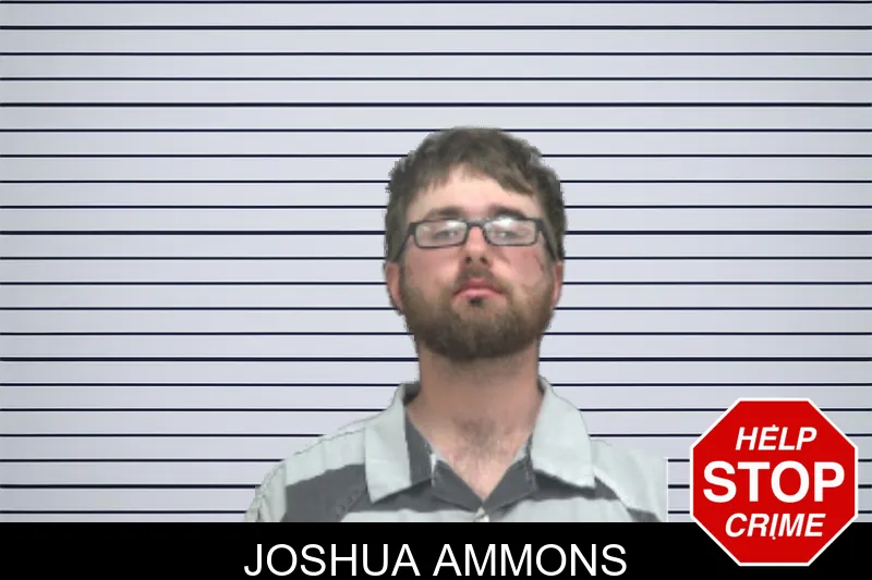 Joshua Ammons mugshot