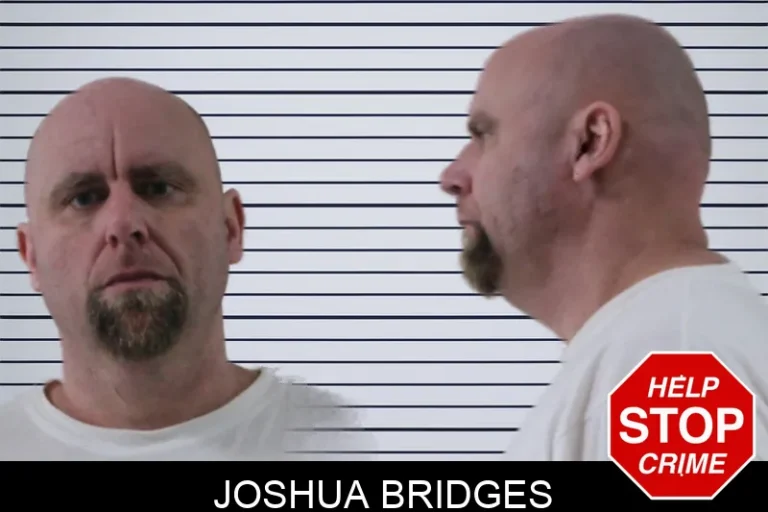 Joshua Bridges