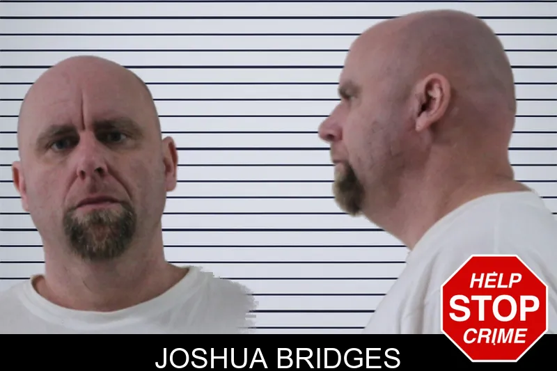 Joshua Bridges mugshot