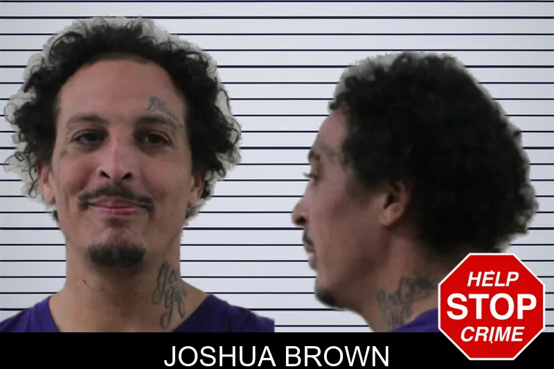 Joshua Brown mugshot
