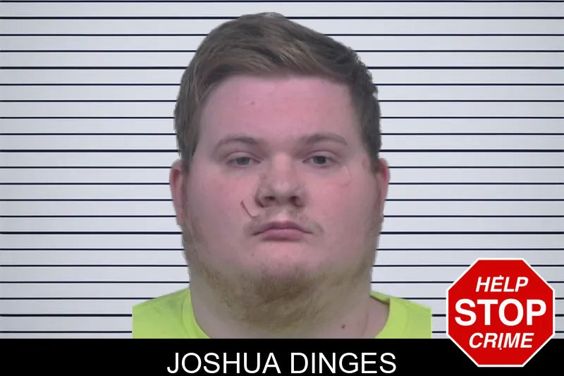 Joshua Dinges mugshot