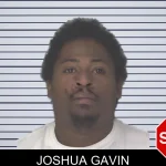 Joshua Gavin mugshot