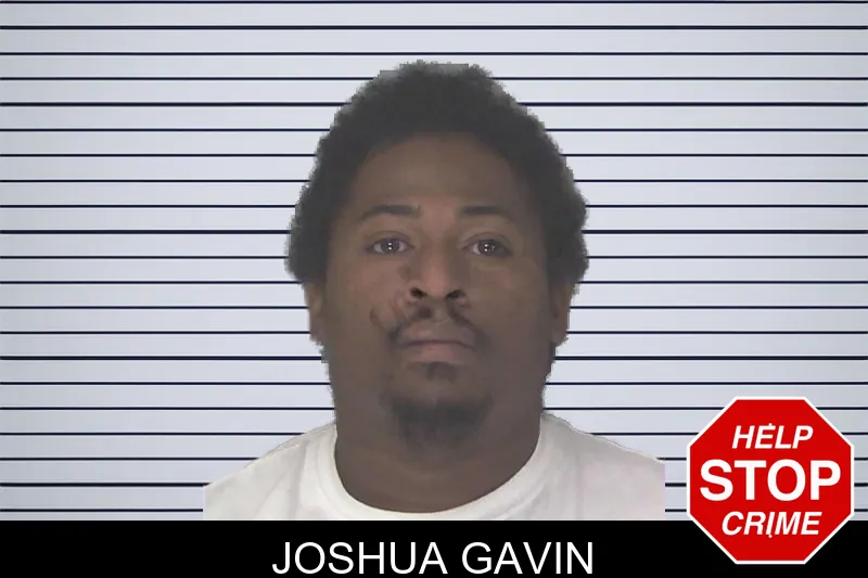 Joshua Gavin mugshot