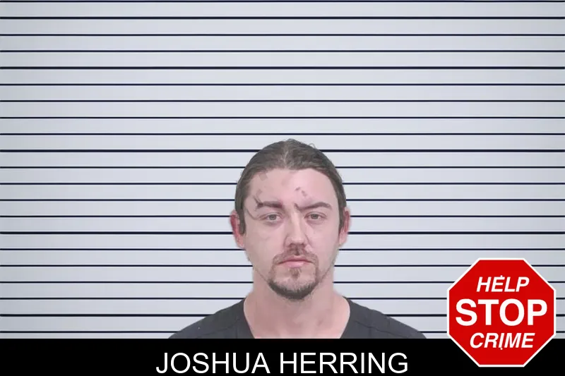 Joshua Herring mugshot – Lowndes County , Georgia Joshua Herring mugshot