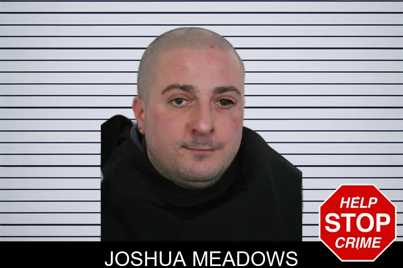 Joshua Meadows mugshot