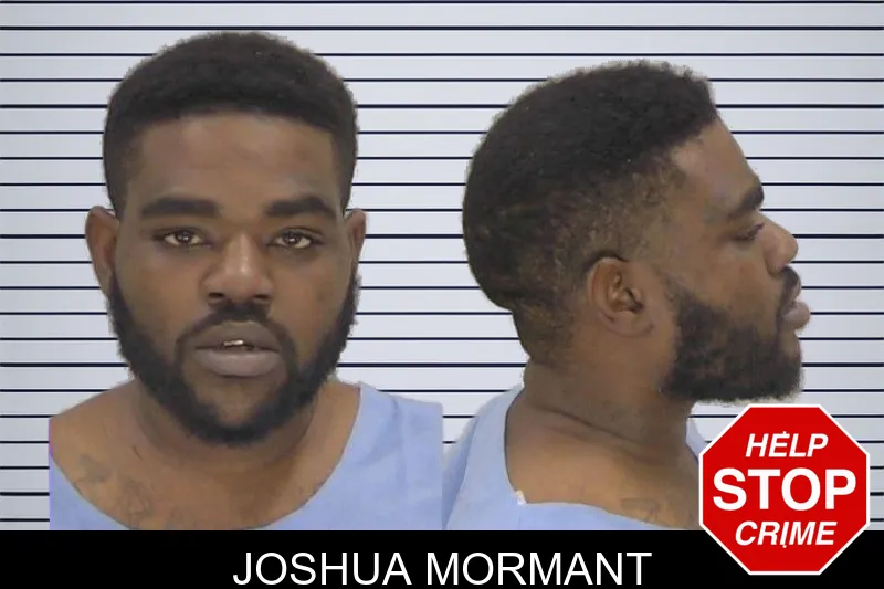 Joshua Mormant mugshot