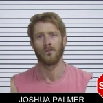 Joshua Palmer mugshot – Wayne County , Georgia Joshua Palmer mugshot