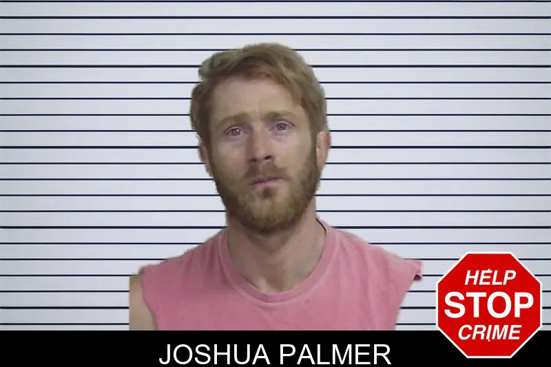 Joshua Palmer mugshot