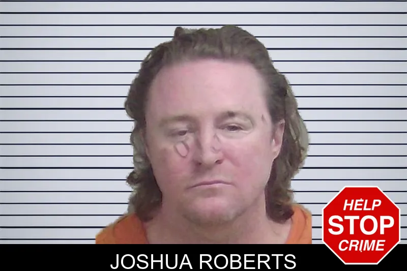 Joshua Roberts mugshot – Wayne County , Georgia Joshua Roberts mugshot