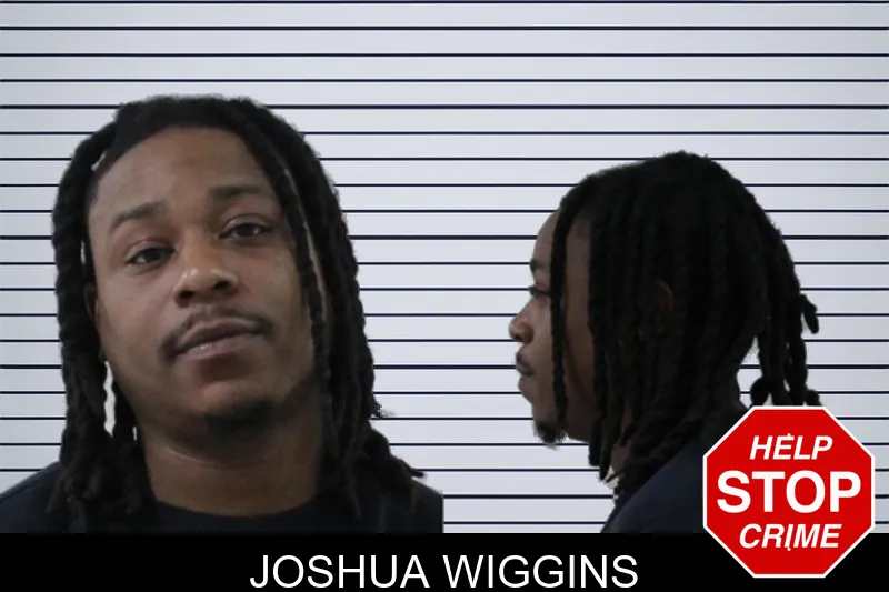 Joshua Wiggins mugshot