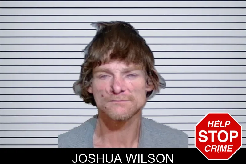 Joshua Wilson mugshot